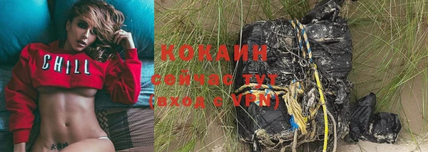 дживик Новозыбков