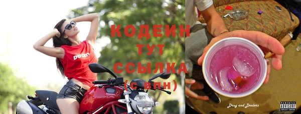 дживик Новозыбков