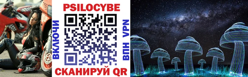 Псилоцибиновые грибы MAGIC MUSHROOMS  Купить  Почеп 